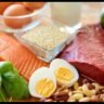 The Best Delicious High Protein Foods That are Tasty and Healthy