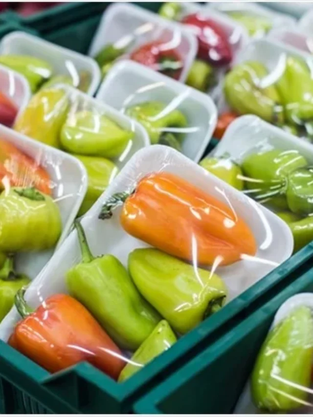 Plastic food packaging contains harmful substances, scientists say