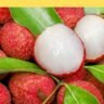 5 Reasons to Consume Lychee in Summer