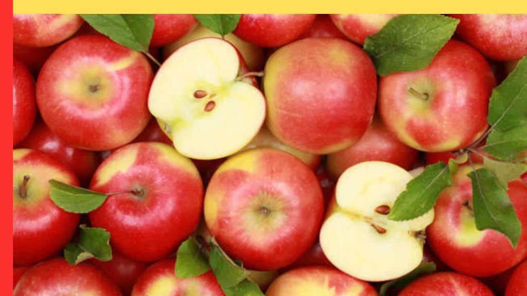 The Secrets of Foods that Contain Almost No Calories